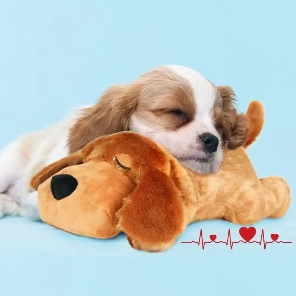 Peluche apaisante battements de coeur pour chiot