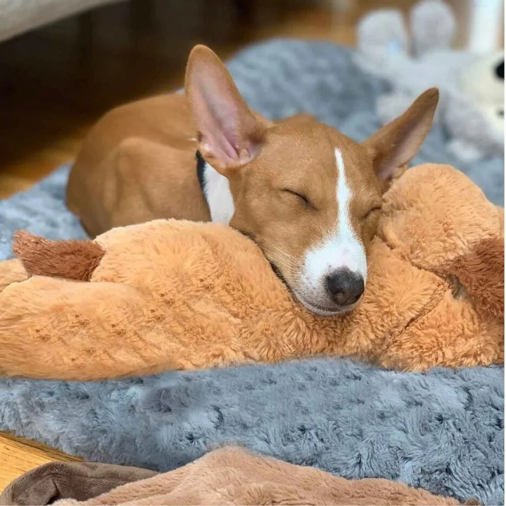 Peluche apaisante battements de coeur pour chiot