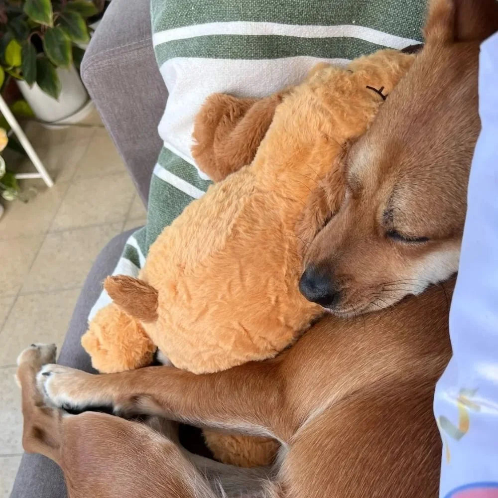Peluche apaisante battements de coeur pour chiot